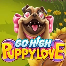 game logo by RubyPlay on casinoslott.fr